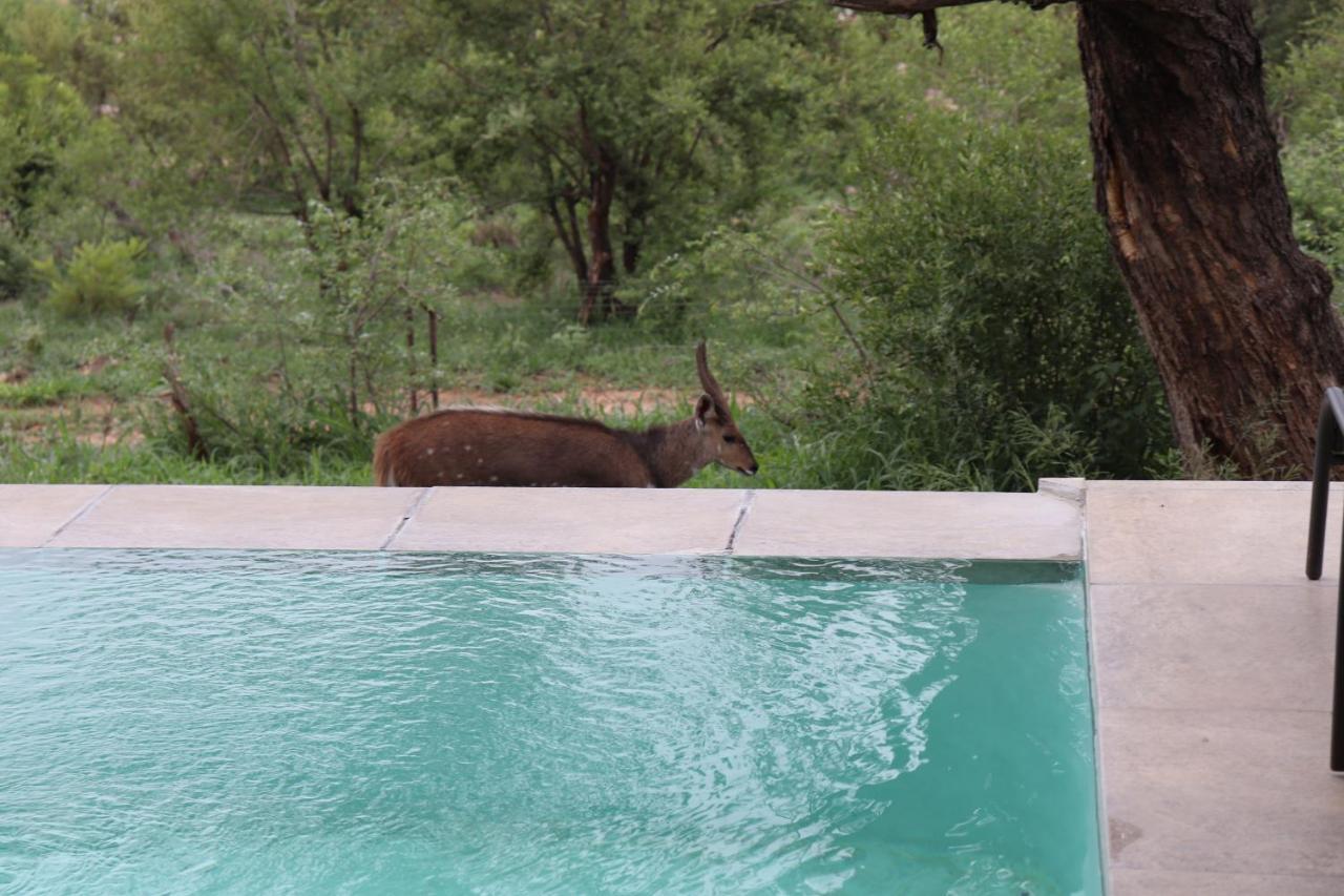 Manzini River House - Mjejane Private Game Reserve, Greater Kruger National Park Hectorspruit Exterior photo
